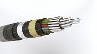 Кабель АКРНБ 27х2,5
